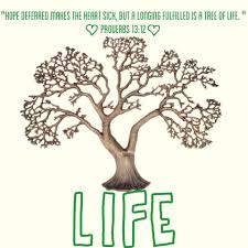 Tree of Life Arizona